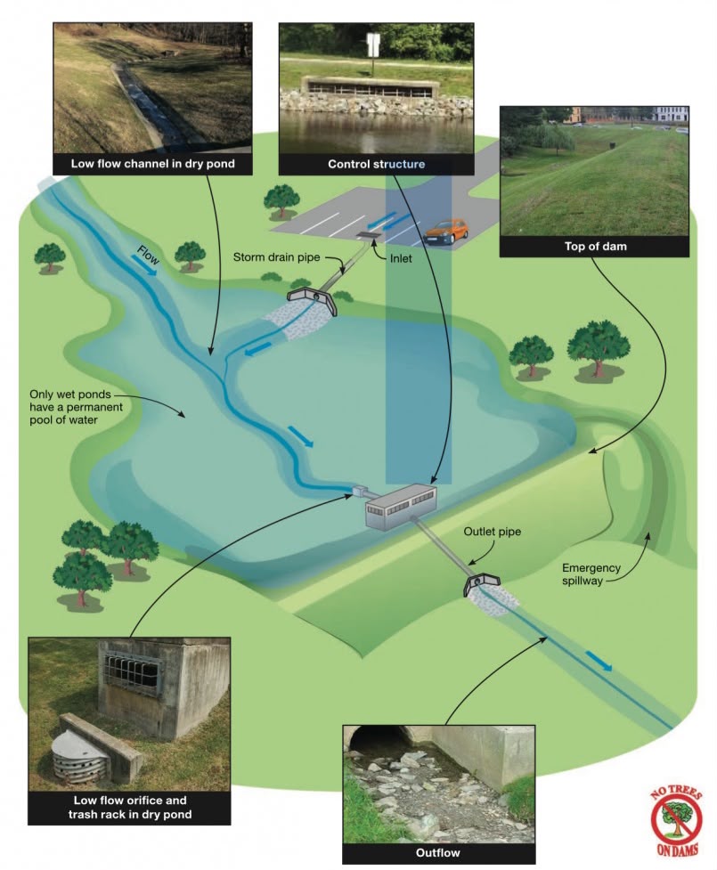 Flood Study