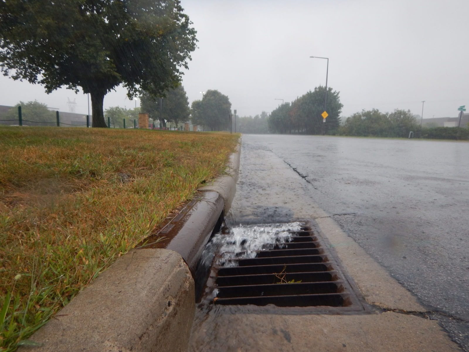 Runoff Analysis